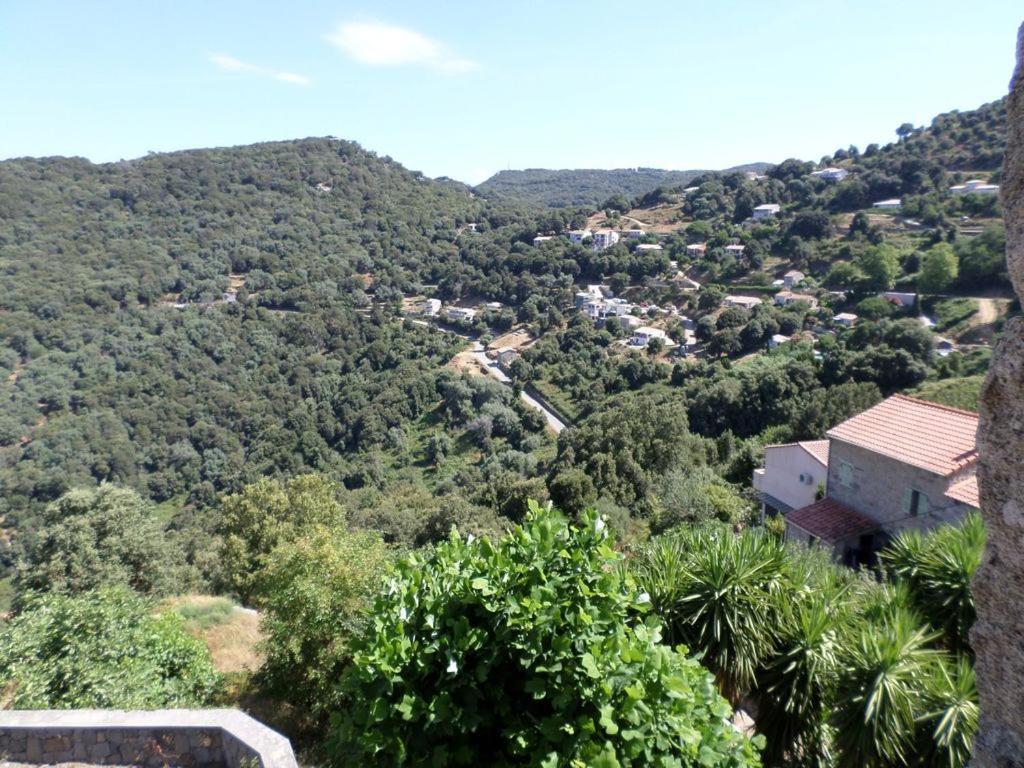 Appartement De Charme Entre Mer Et Montagne Sollacaro Exteriér fotografie